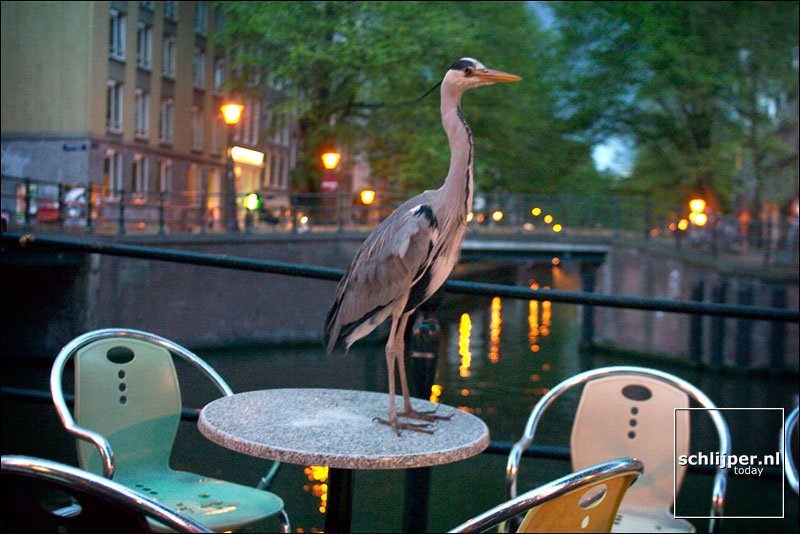 Nederland, Amsterdam, 14 mei 2003