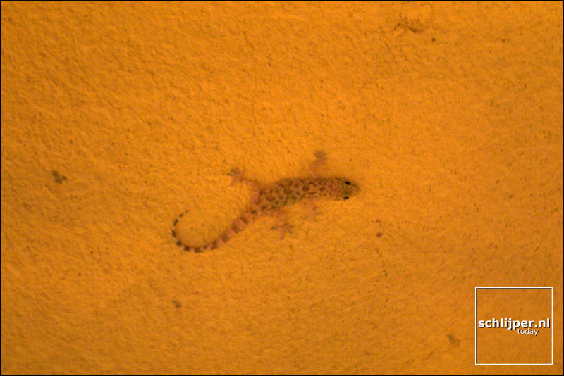 Israel, Rishon LeZiyyon, 15 juni 2003