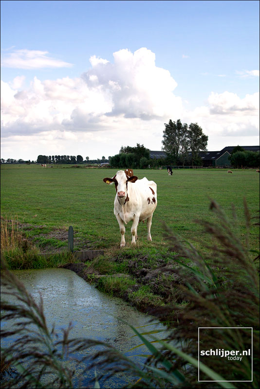 Nederland, Ouderkerk aan de Amstel, 30 augustus 2003