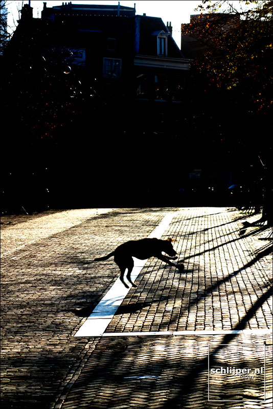 Nederland, Amsterdam, 5 november 2003