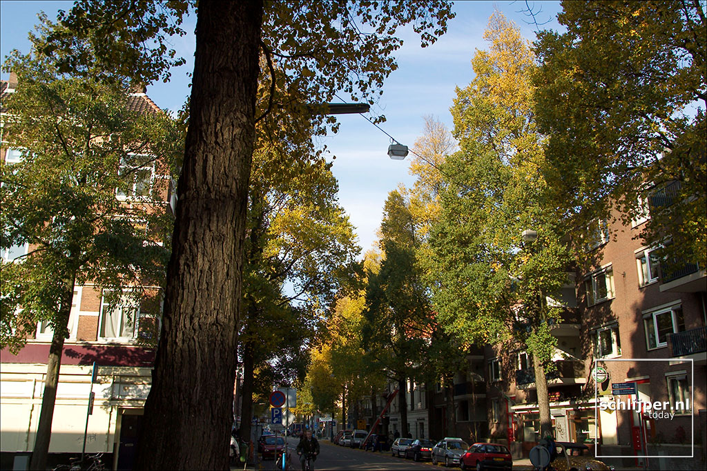 Nederland, Amsterdam, 8 november 2003