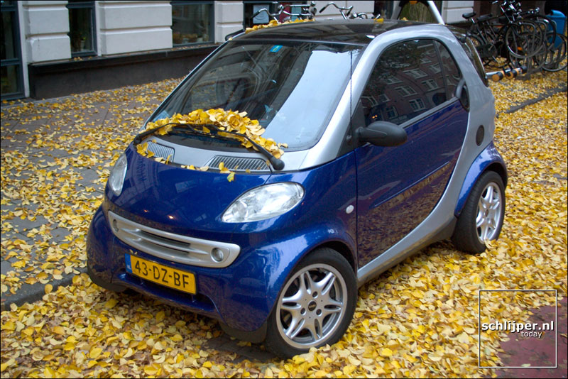 Nederland, Amsterdam, 14 november 2003