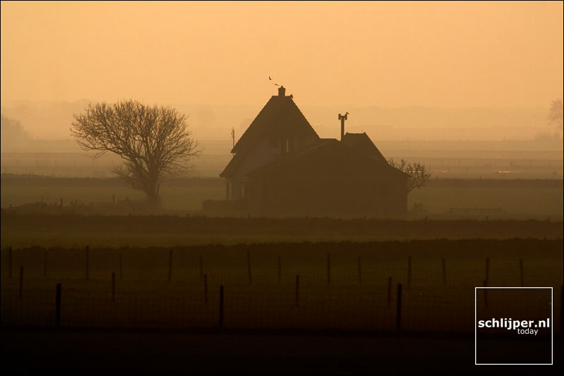 Nederland, Texel, 23 januari 2004