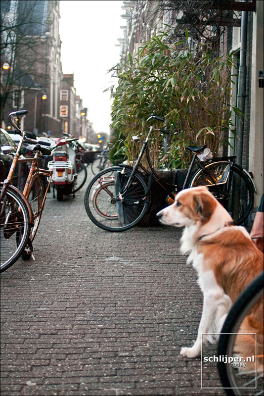Nederland, Amsterdam, 24 januari 2004