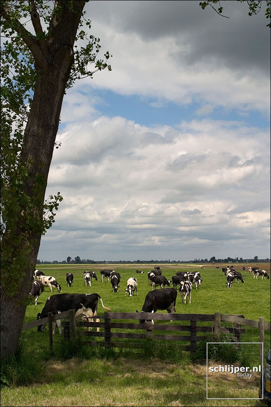 Nederland, Volendam, 21 mei 2004
