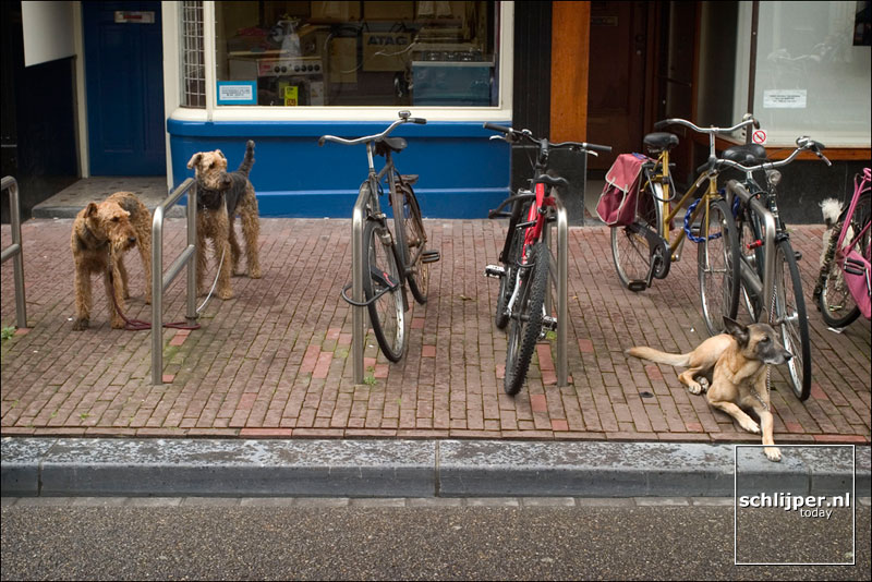 Nederland, Amsterdam, 21 augustus 2004