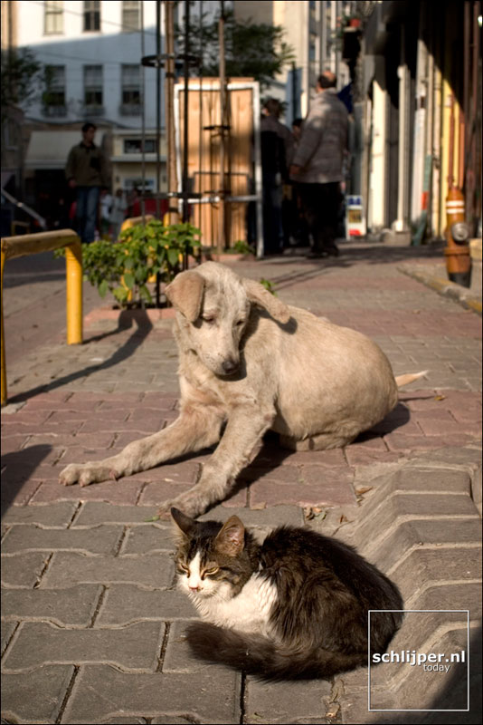 Turkije, Istanbul, 6 december 2004