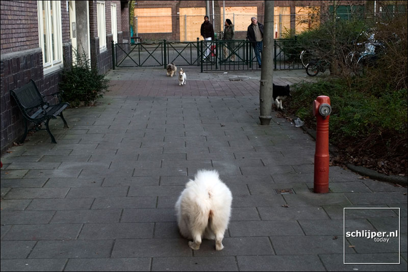 Nederland, Amsterdam, 24 december 2004