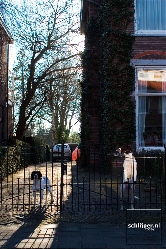 Nederland, Assen, 10 januari 2005