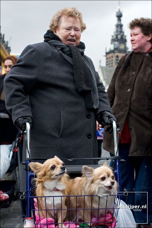 Nederland, Nijmegen, 22 januari 2005