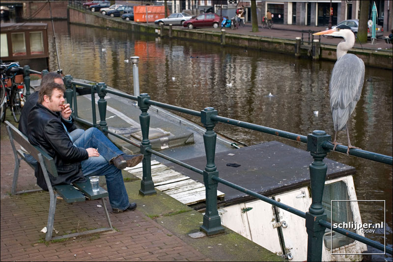Nederland, Amsterdam, 11 februari 2005