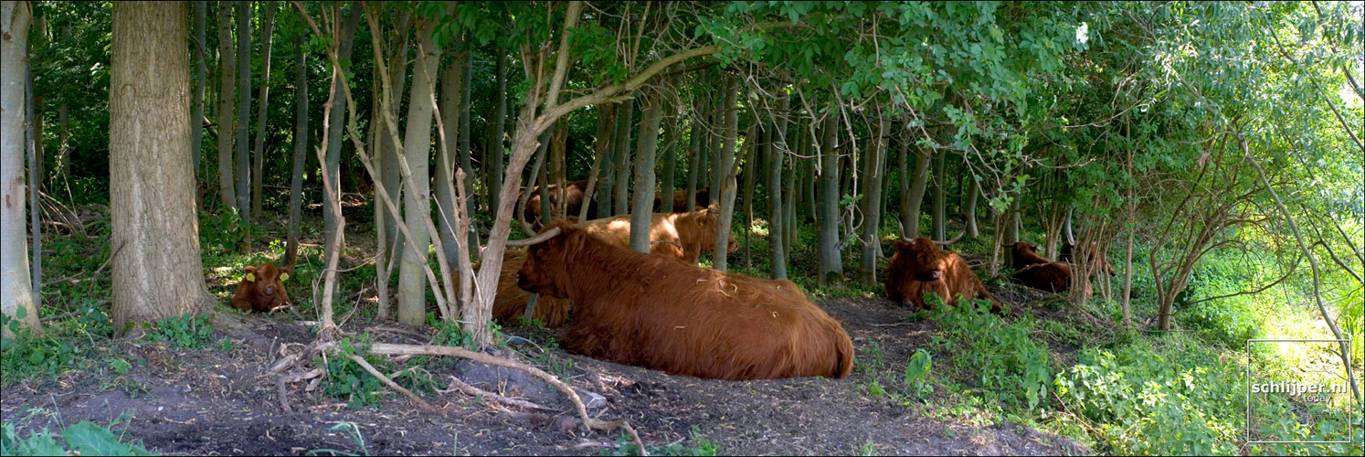 Nederland, Schinveld, 28 mei 2005