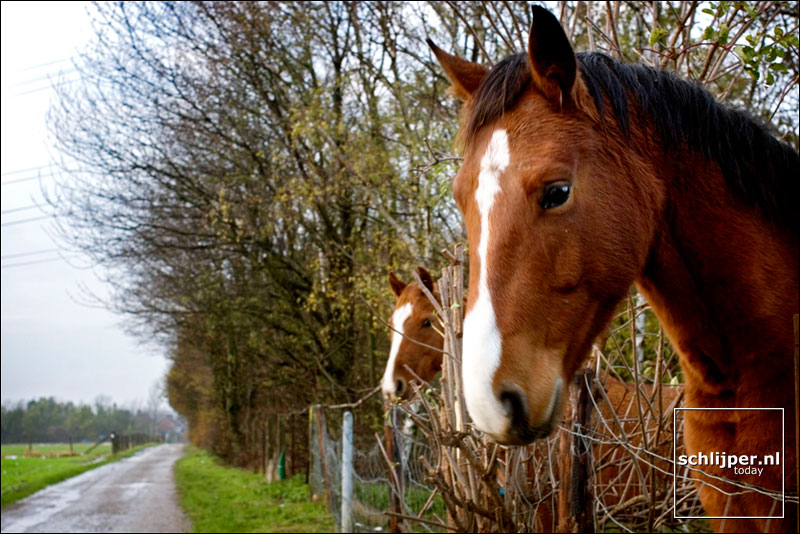 Nederland, Meerssen, 27 november 2005