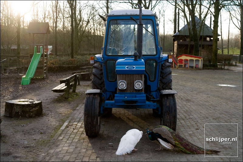 Nederland, Utrecht, 20 januari 2006
