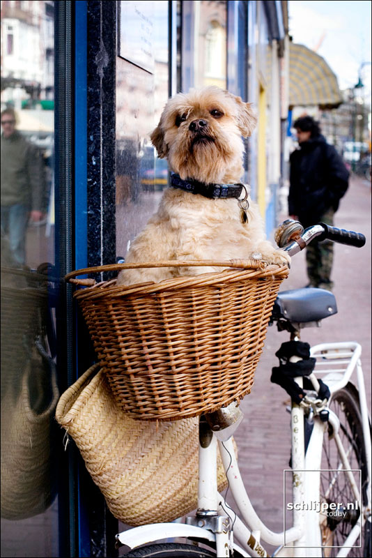 Nederland, Amsterdam, 4 april 2006