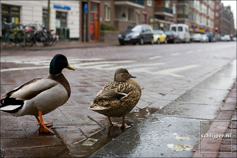 Nederland, Amsterdam, 8 april 2006