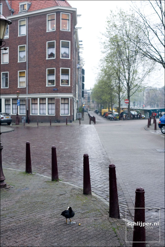 Nederland, Amsterdam, 23 april 2006