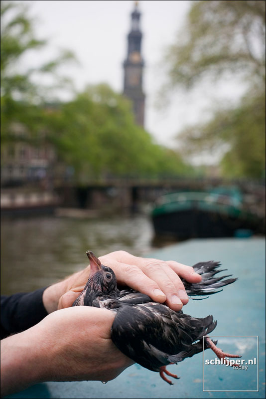 Nederland, Amsterdam, 15 mei 2006