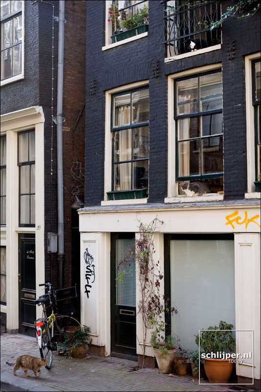 Nederland, Amsterdam, 11 oktober 2006