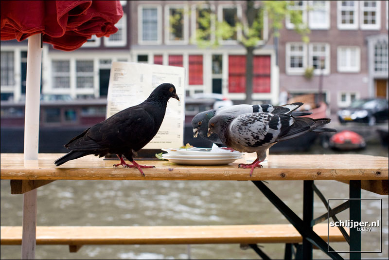 Nederland, Amsterdam, 2 september 2007