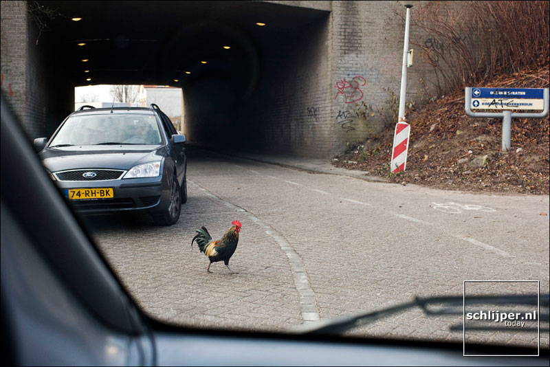 Nederland, Amsterdam, 3 januari 2008