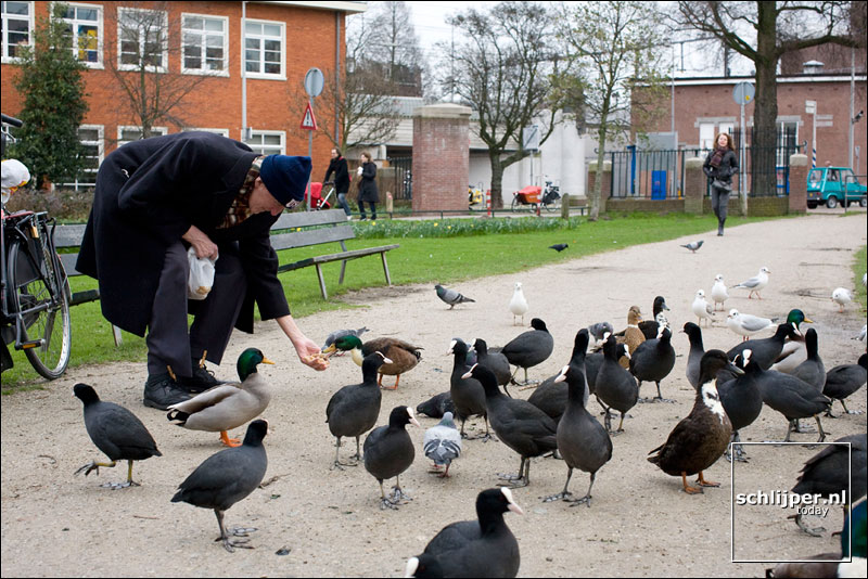 Nederland, Amsterdam, 27 januari 2008
