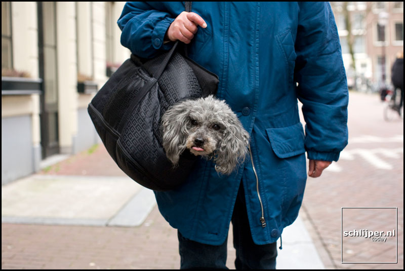 Nederland, Amsterdam, 11 maart 2008