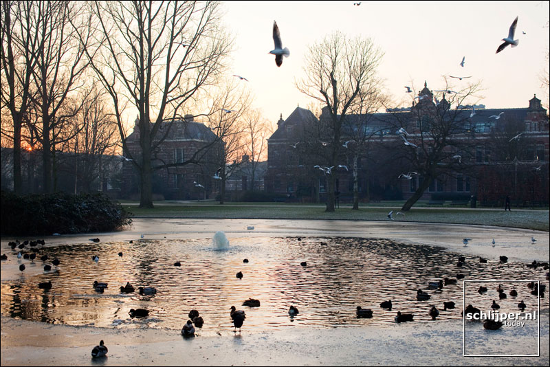 Nederland, Amsterdam, 10 januari 2009