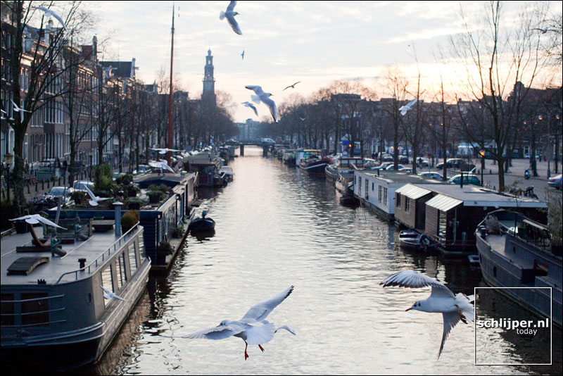 Nederland, Amsterdam, 15 januari 2009