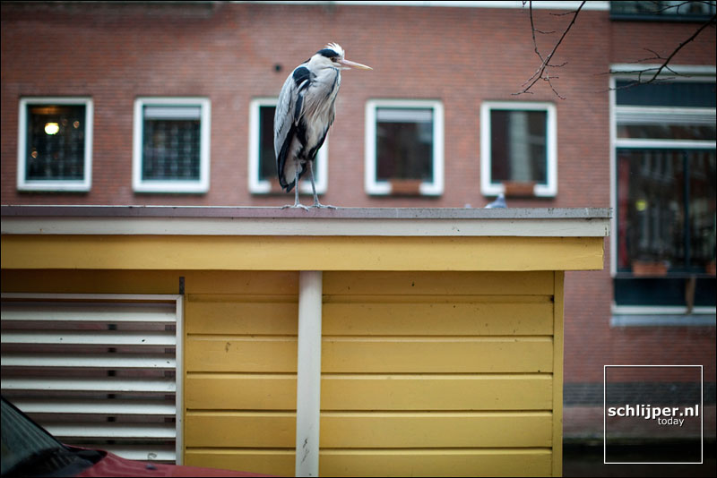 Nederland, Amsterdam, 2 februari 2009
