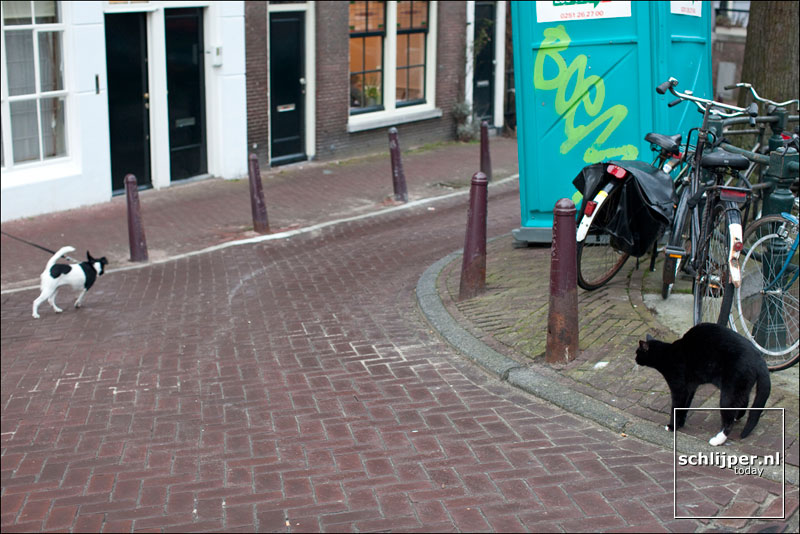 Nederland, Amsterdam, 1 maart 2009