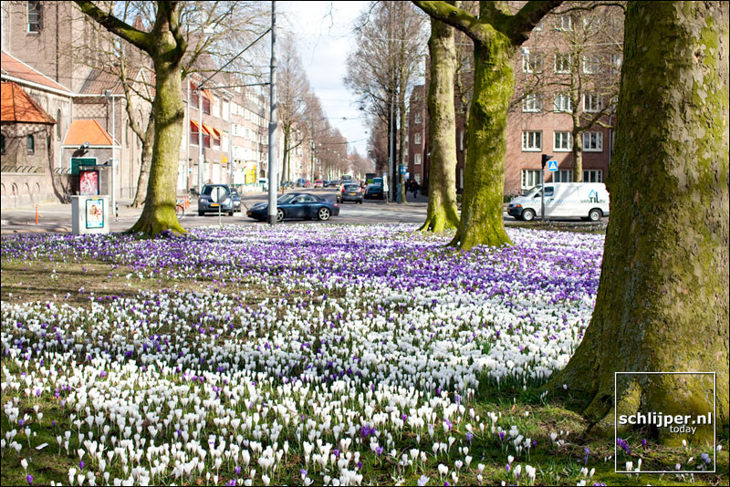 Nederland, Amsterdam, 11 maart 2009