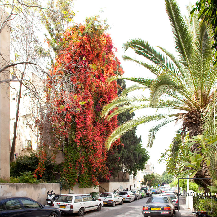 Israel, Tel Aviv, 20 april 2009