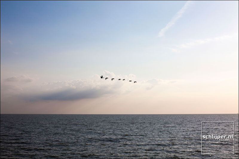 Nederland, Markermeer, 28 juli 2009