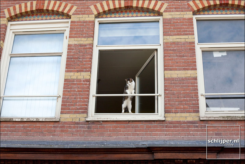 Nederland, Amsterdam, 1 augustus 2009