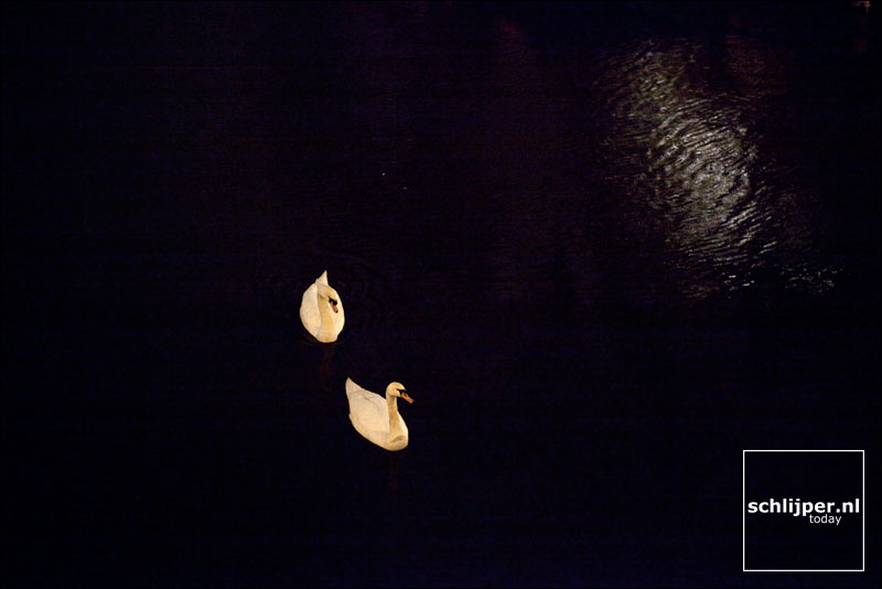 Nederland, Amsterdam, 2 februari 2010