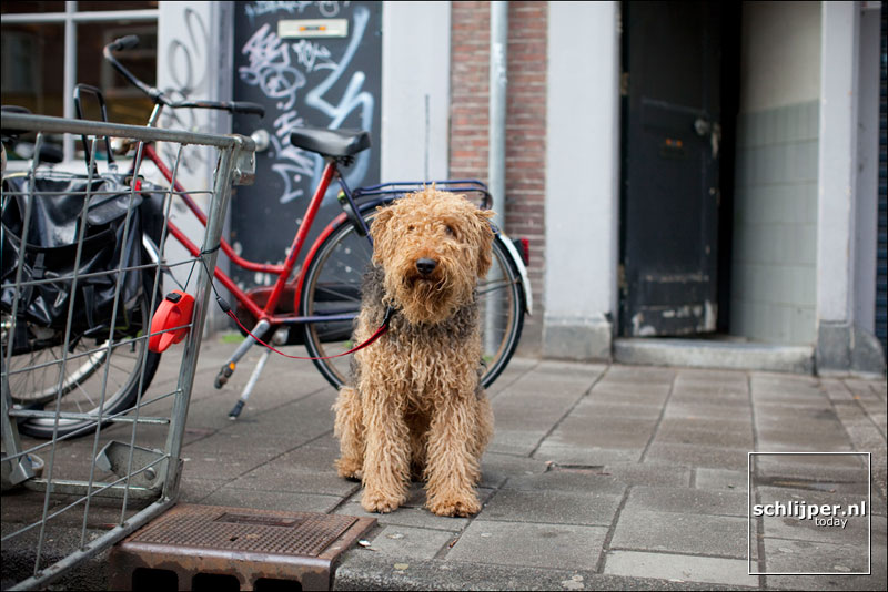 Nederland, Amsterdam, 31 maart 2010