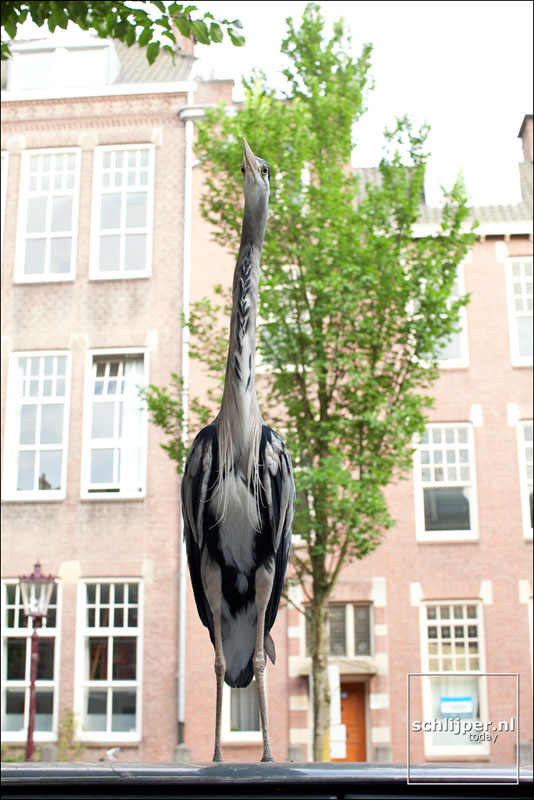 Nederland, Amsterdam, 1 juli 2010