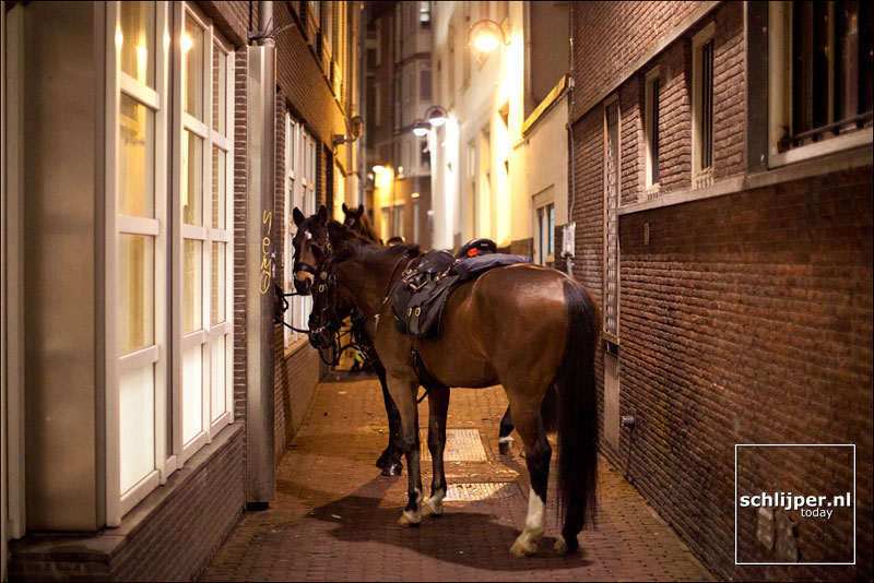 Nederland, Amsterdam, 27 januari 2012