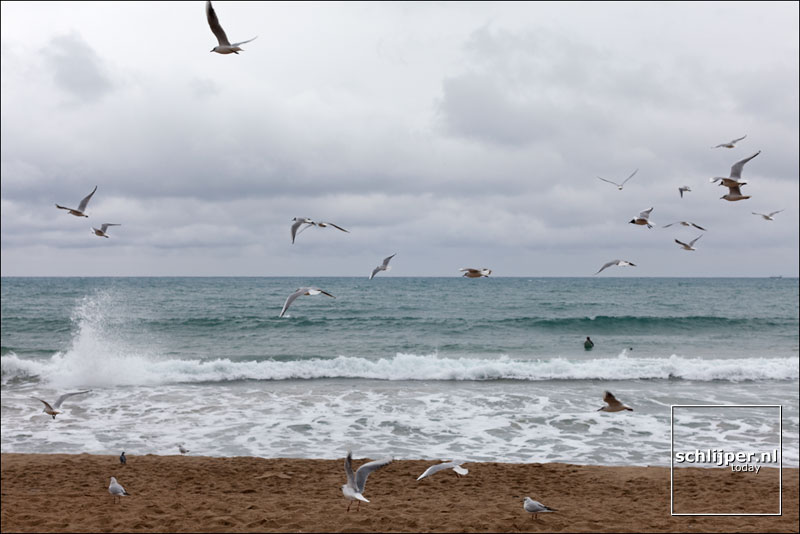 Spanje, Barcelona, 1 februari 2012