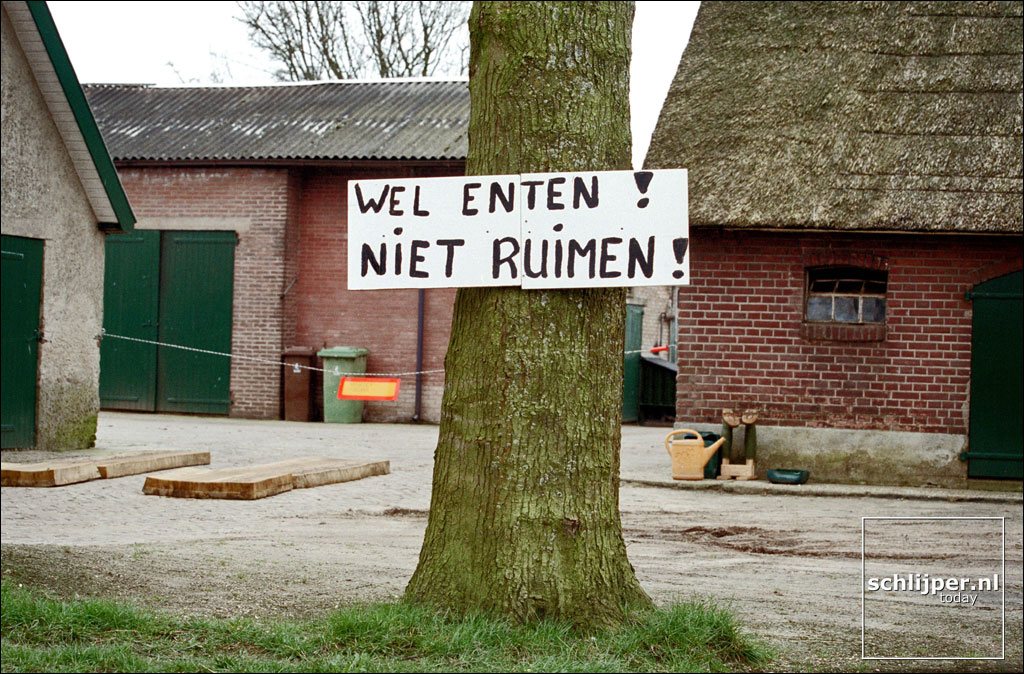 Nederland, Kootwijkerbroek, 31 maart 2001.