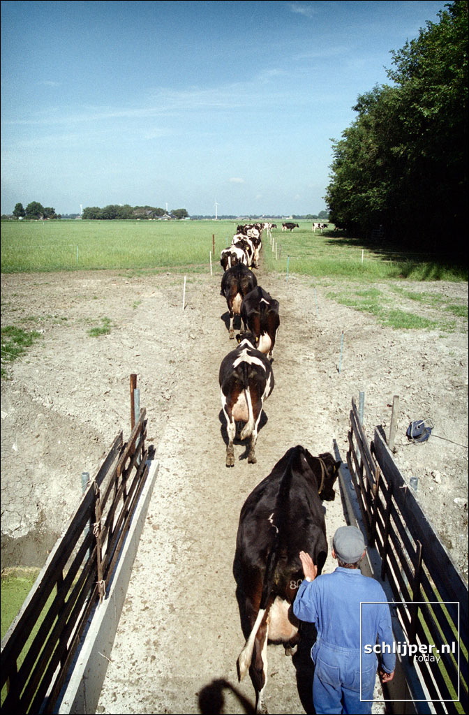 Nederland, Schoorldam, 24 juli 2001.