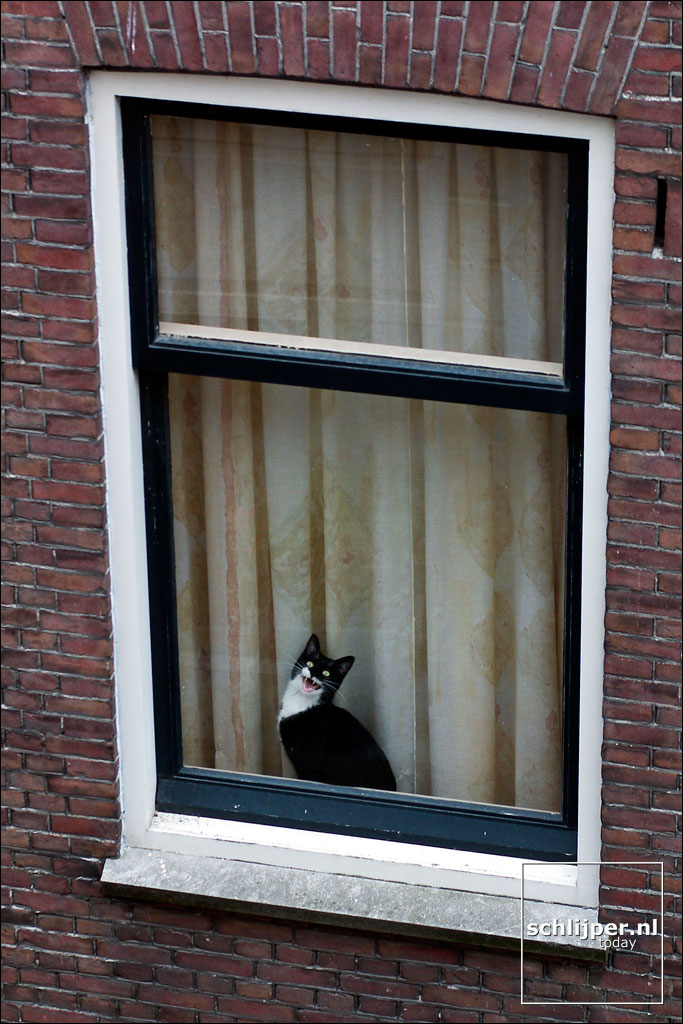Nederland, Amsterdam, 25 april 2003