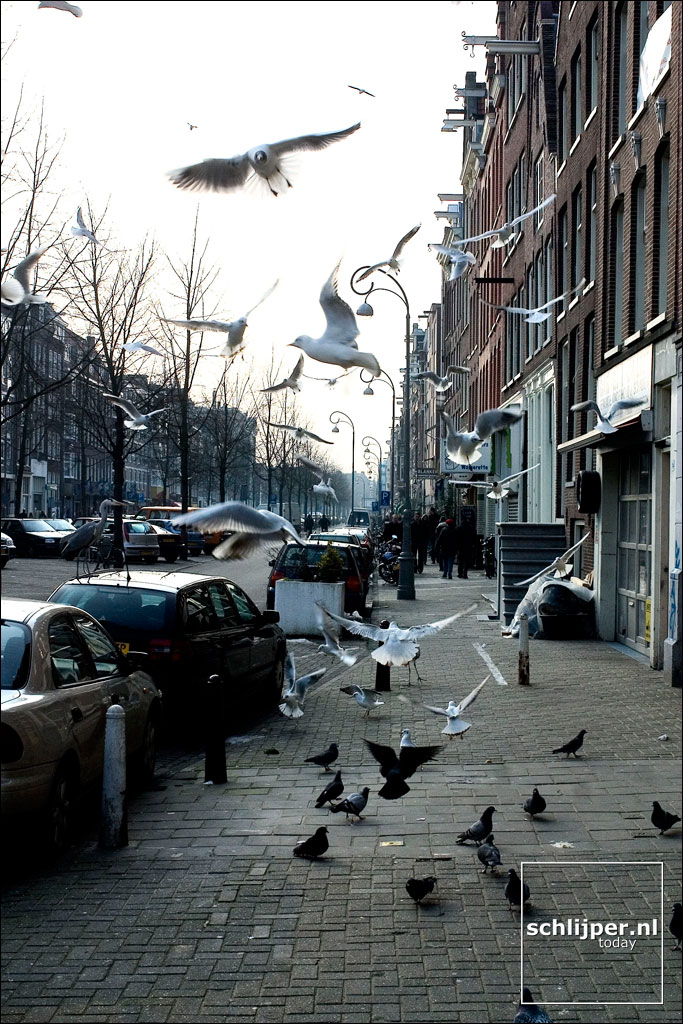 Nederland, Amsterdam, 29 februari 2004