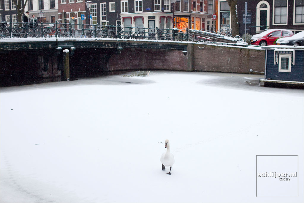 Nederland, Amsterdam, 10 januari 2010