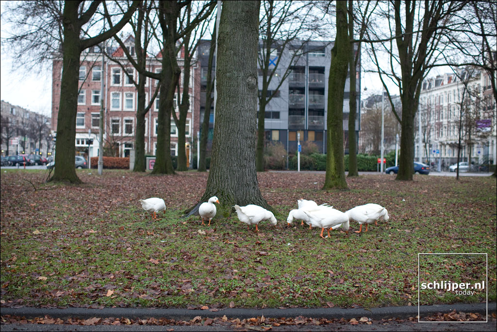 Nederland, Amsterdam, 13 december 2010