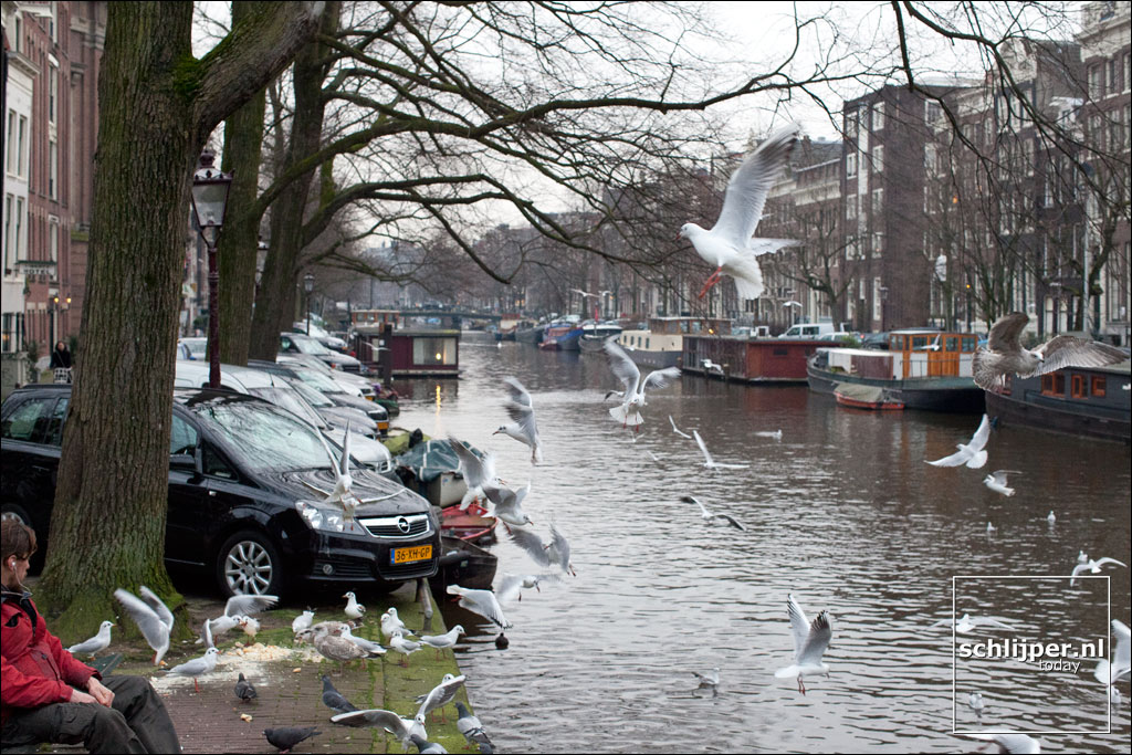 Nederland, Amsterdam, 25 januari 2012