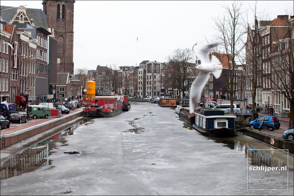 Nederland, Amsterdam, 14 februari 2012