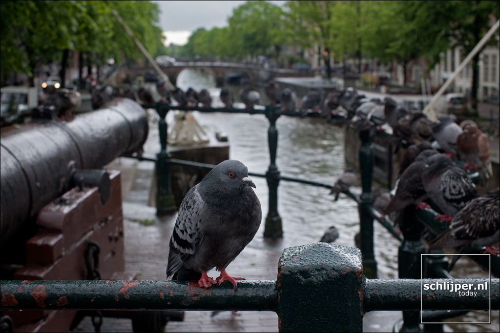 Nederland, Amsterdam, 4 juni 2012