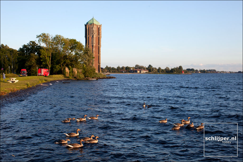 Nederland, Aalsmeer, 18 juni 2012